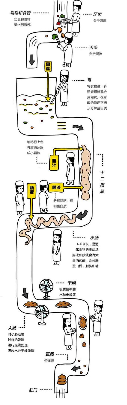 圖片2.jpg 圖片2.jpg